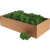 Ijslands mos, 400 g Donkergroen
