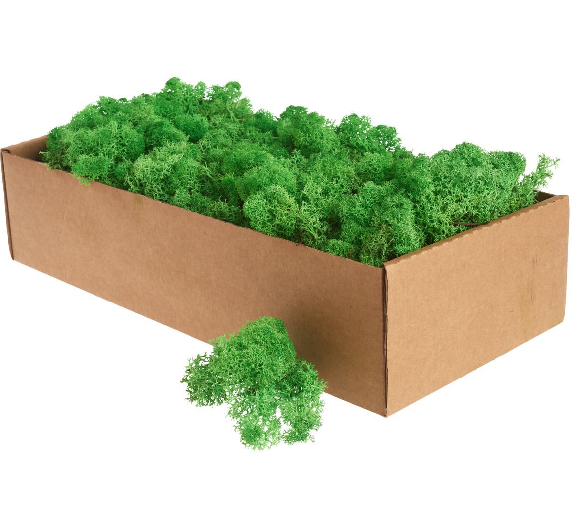 Ijslands mos, 400 g - Meigroen