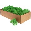 Ijslands mos, 400 g Meigroen