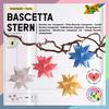Bascetta star set "Transparent"