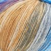 ONline Wol super sock merino color, assortiment 349 Kleur 2920