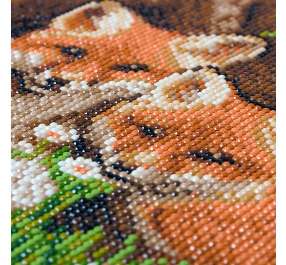 Diamond Painting "Crystal Art Kit"