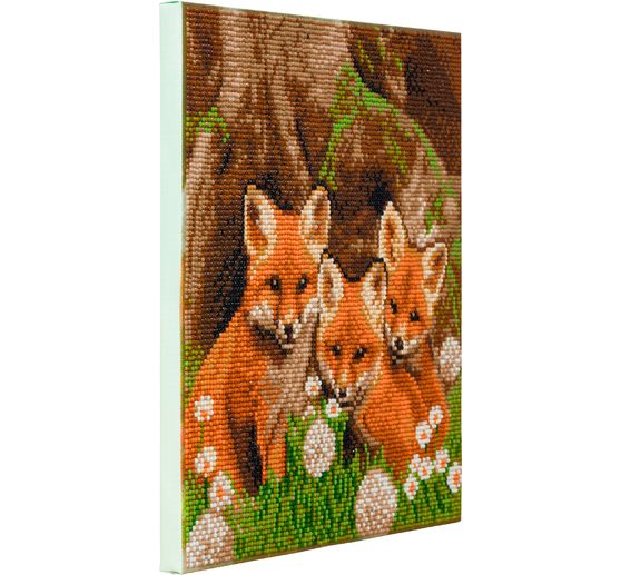 Diamond Painting "Crystal Art Kit"