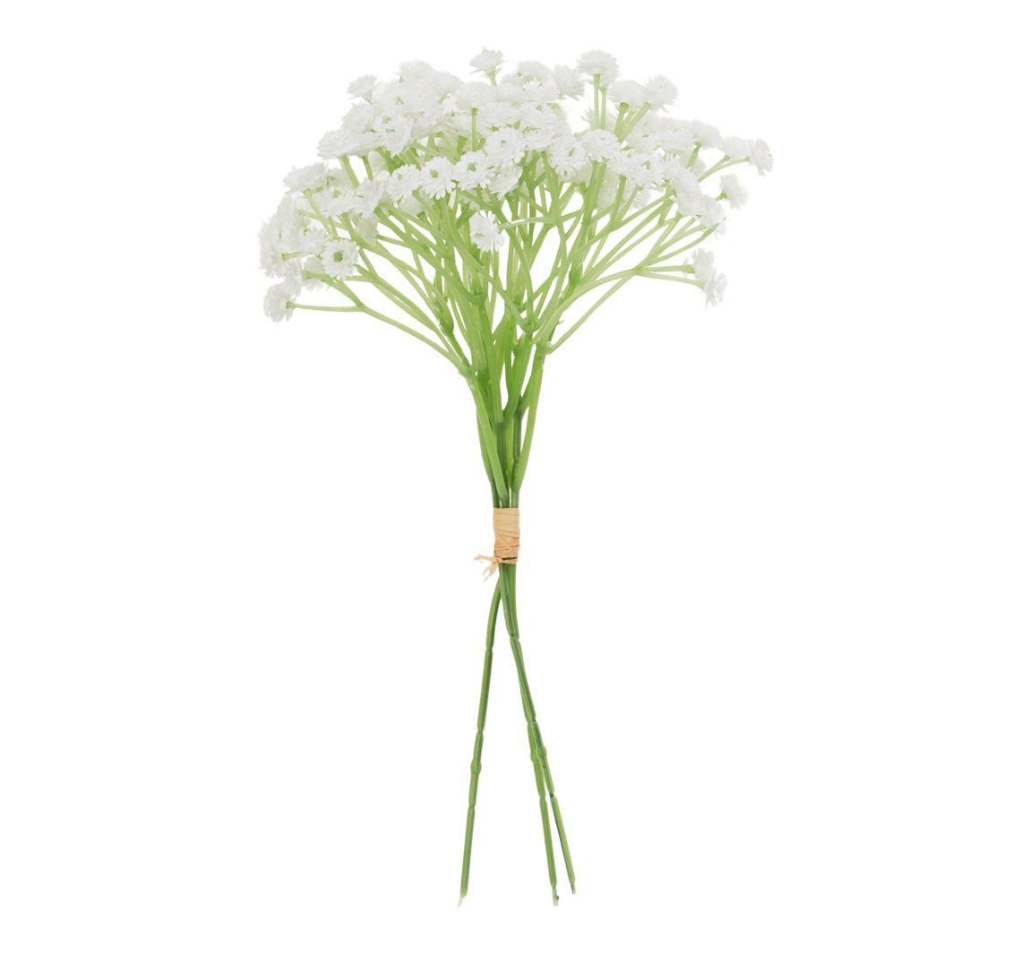 VBS Gipskruid bos "Florissa" - Wit