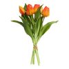 Tulpen bos met 3 bloemen en 2 knoppen Oranje