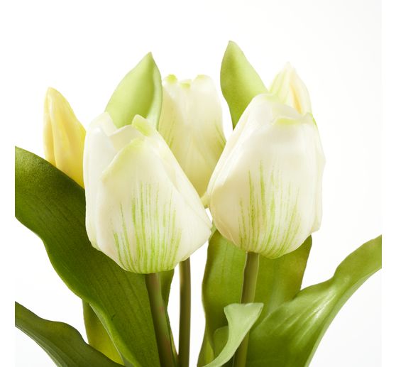 Tulpen bos met 3 bloemen en 2 knoppen