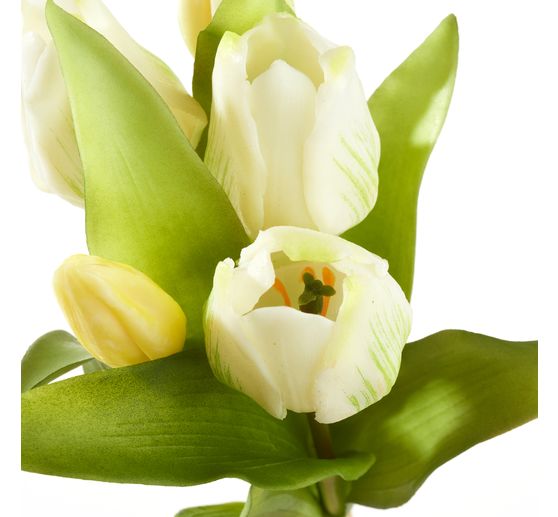 Tulpen bos met 3 bloemen en 2 knoppen
