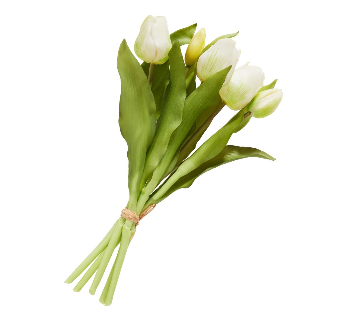 Tulpen bos met 3 bloemen en 2 knoppen - Cream