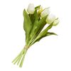 Tulpen bos met 3 bloemen en 2 knoppen Créme