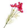 Cosmea tak met 5 bloemen Rozig