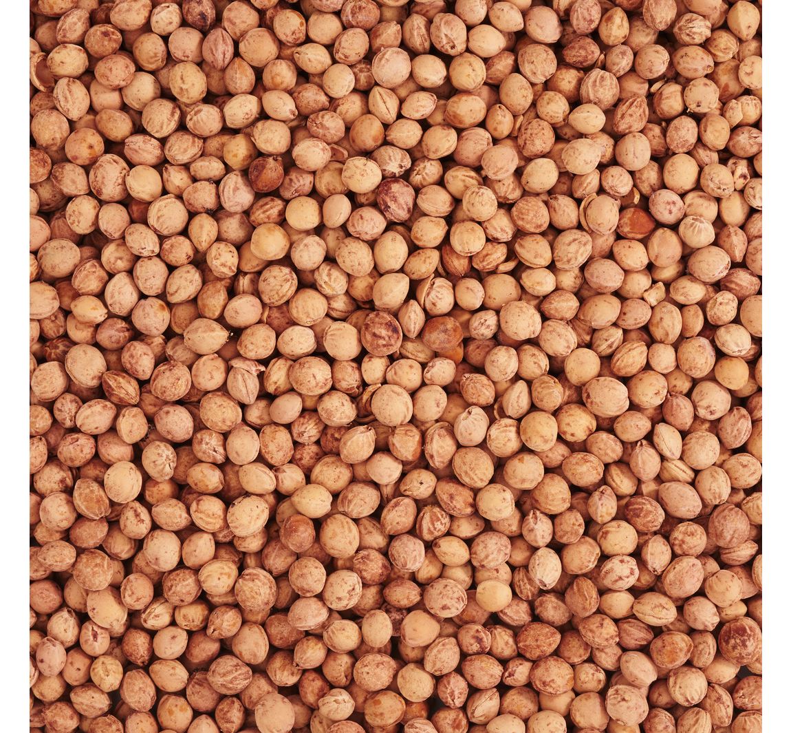 Kersenpitten 500g