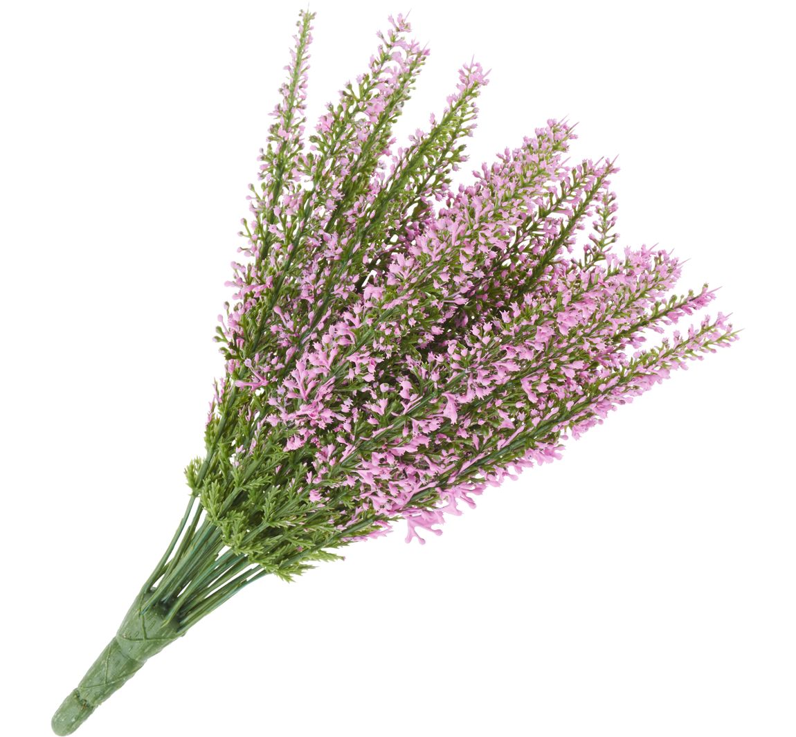 Erica, 24 bloemstrengen, L 26cm - Rozig