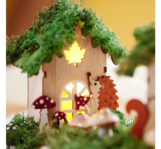 VBS Houten bouwpakket "Herfsthuis ", incl. LED's