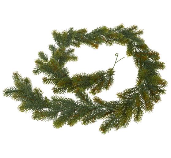 Edeldennenslinger "Eitra"