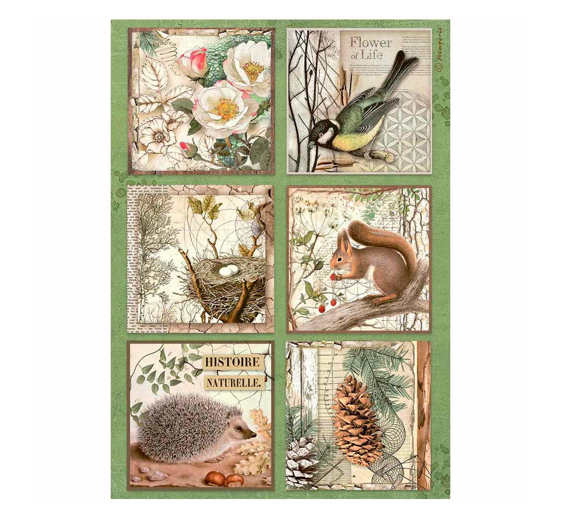 Motief strozijde "Forest" - Cards