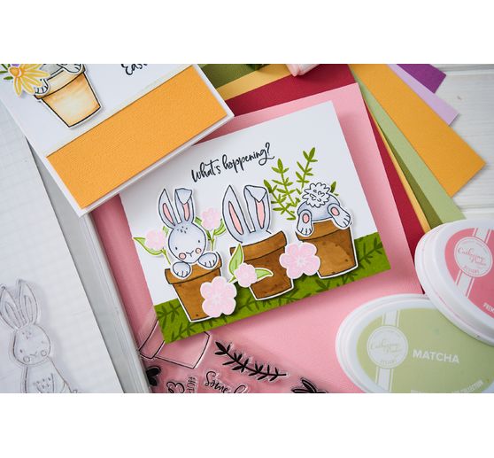 Sizzix Thinlits Ponssjabloon by Catherine Pooler