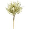 Buxustak "Evergreen" Créme