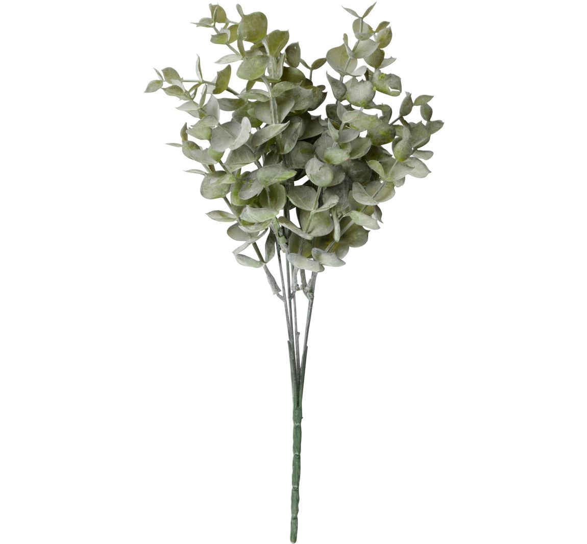 Buxustak "Evergreen" - Eucalyptus