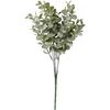 Buxustak "Evergreen" Eucalyptus