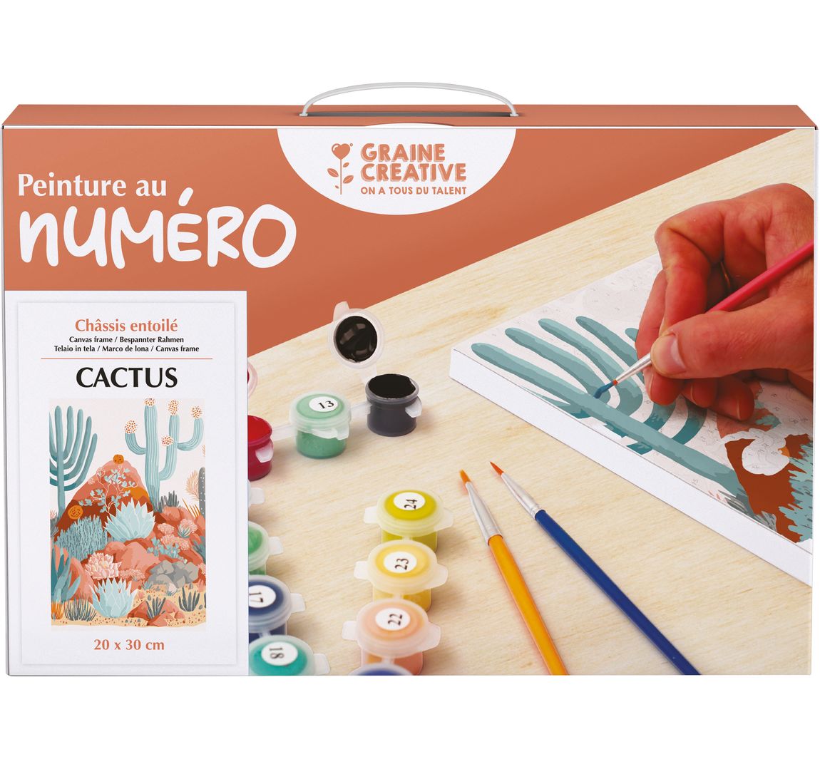 Schilderen op nummers, schildersdoek - Cactus