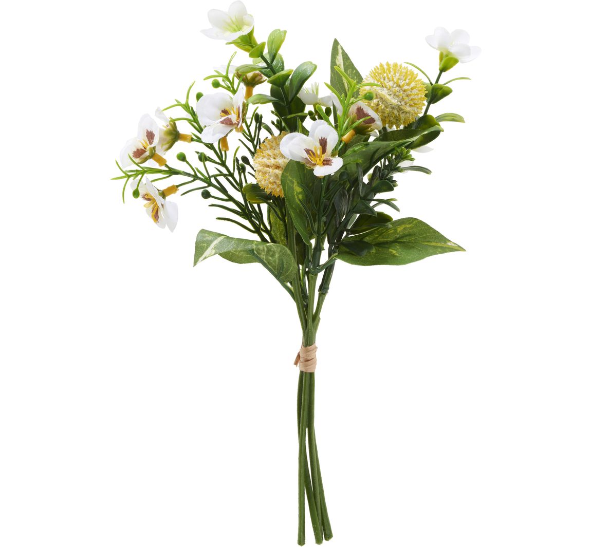Bloementros "Viola" - Créme