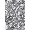 Sizzix A5 3D Embossing sjabloon by Tim Holtz Entangled
