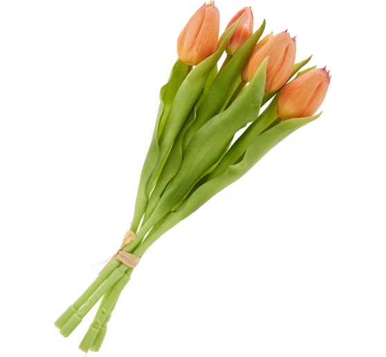 Tulips bunch with 3 flowers and 2 buds