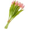 Tulips bunch with 3 flowers and 2 buds Light Rose