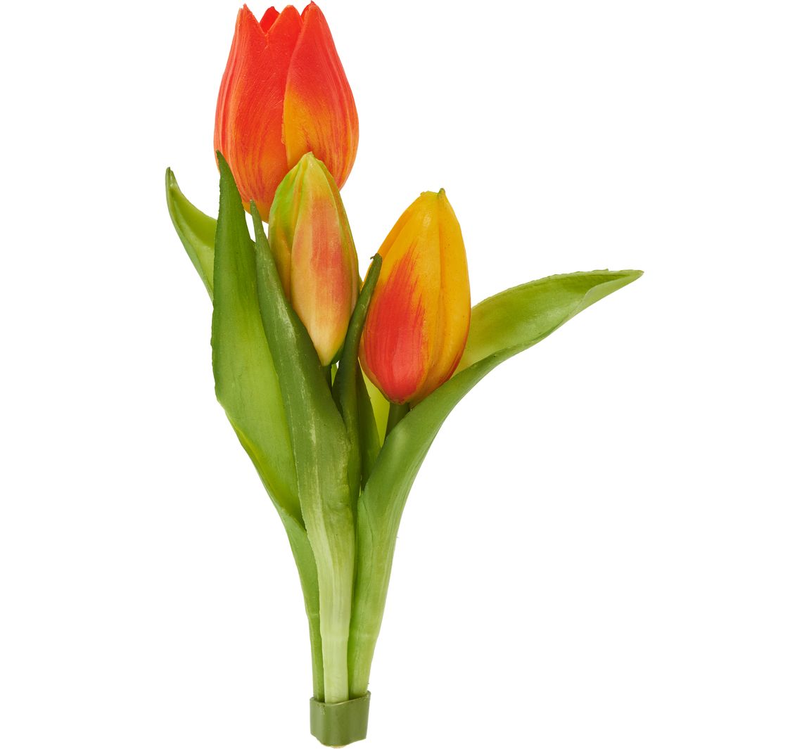 Tulpen bos "Sally" - Oranje