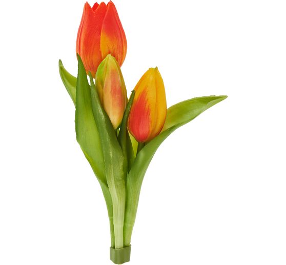 Tulpen bos "Sally"