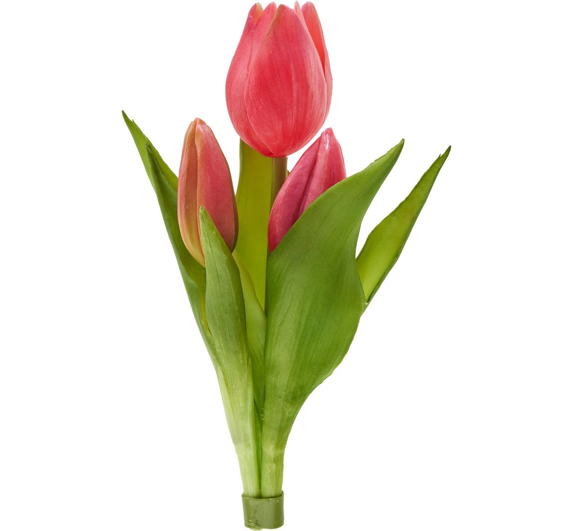 Tulpen bos "Sally" - Purple
