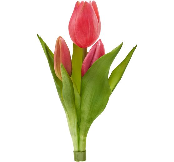 Tulpen bos "Sally"