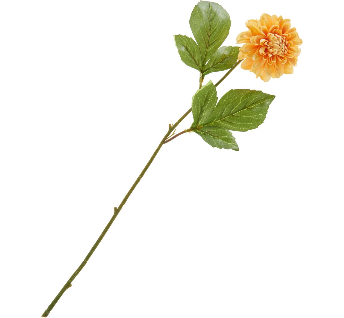 Dahlia "George Spray - Yellow