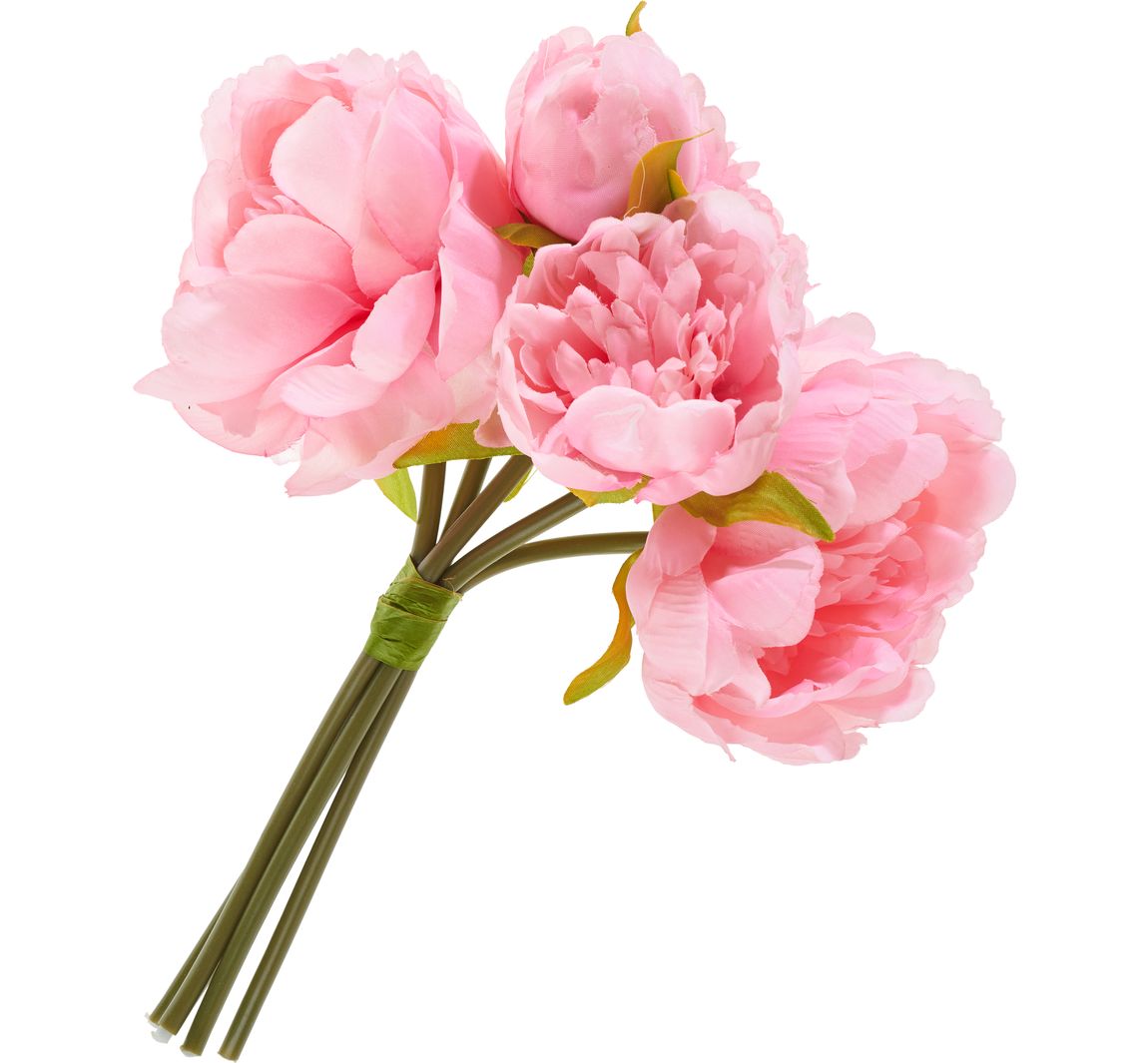 Pioenroos met 5 bloemen - Rozig