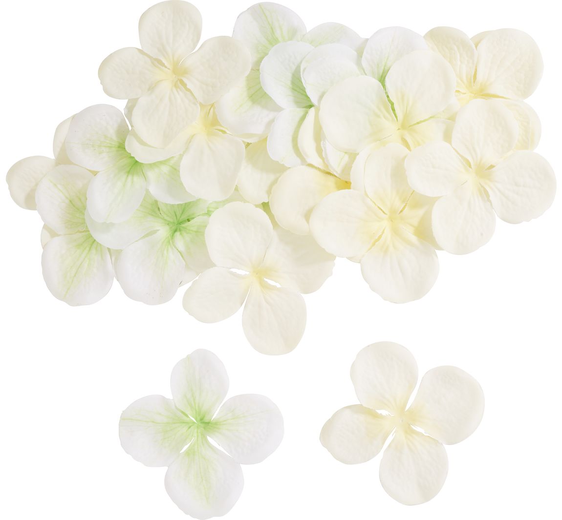 Hortensia bloesems - Cream