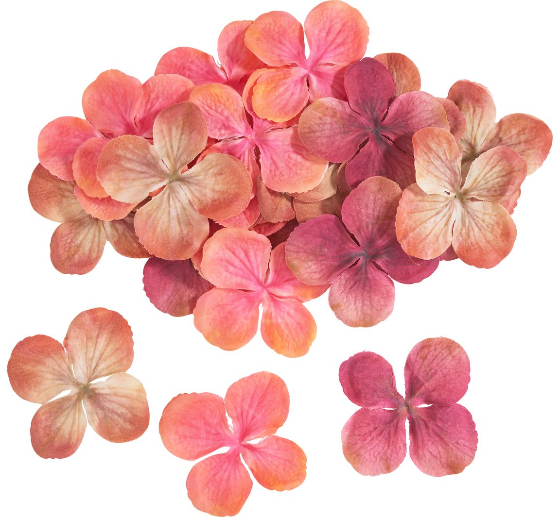Hortensia bloesems - Peach