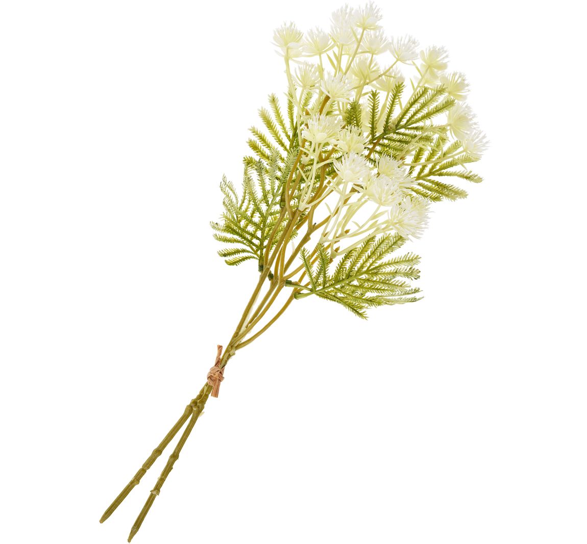 Bloeiwijze tak - Cream