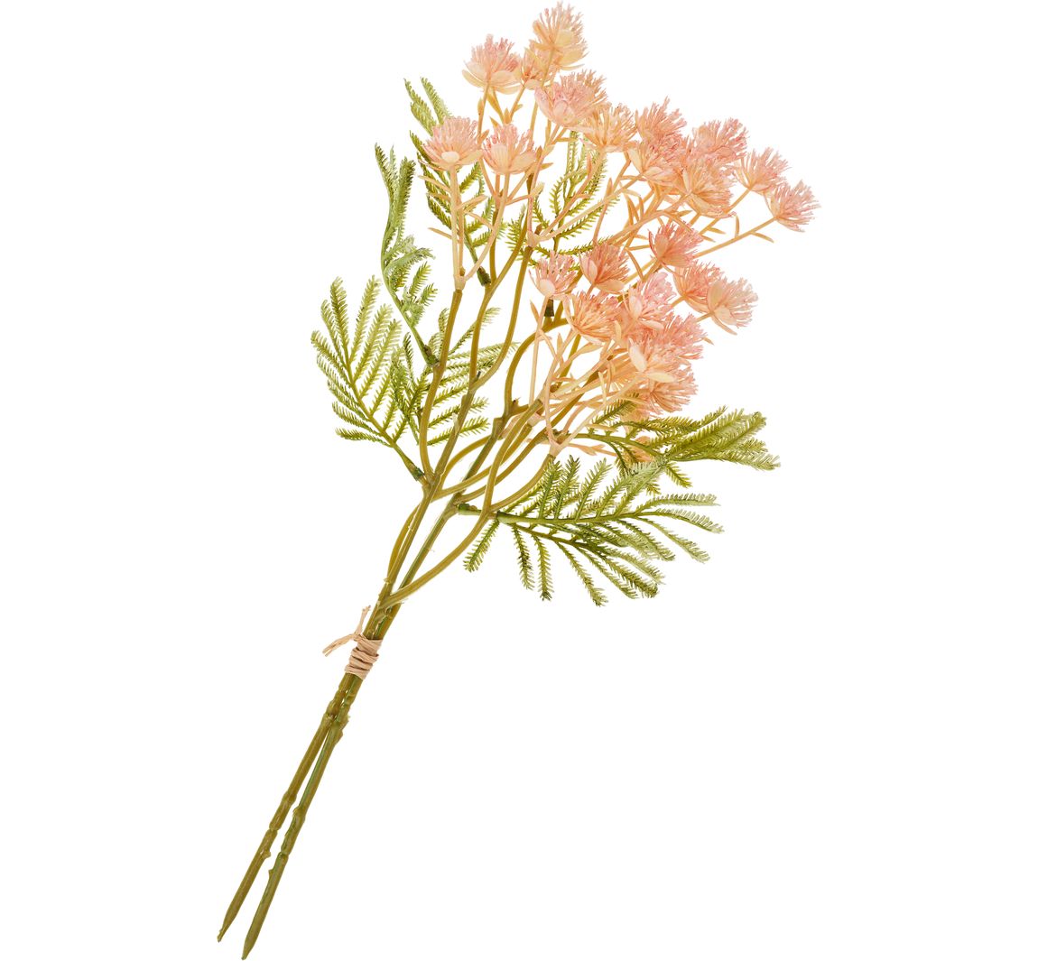 Bloeiwijze tak - Rose