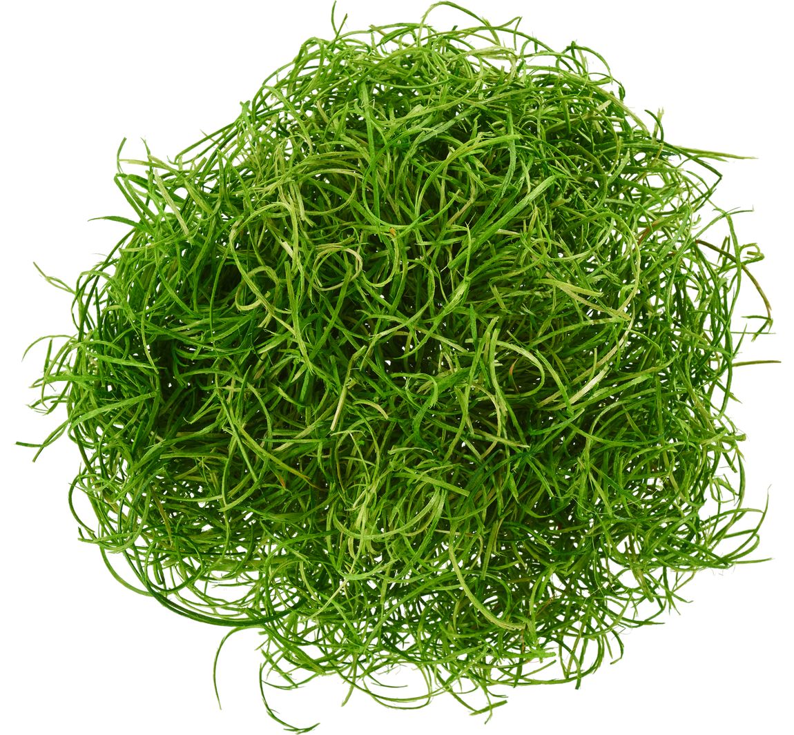 Houtwol, 50 g - Groen