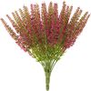 Erica, 24 bloemstrengen, L 26cm Fuchsia