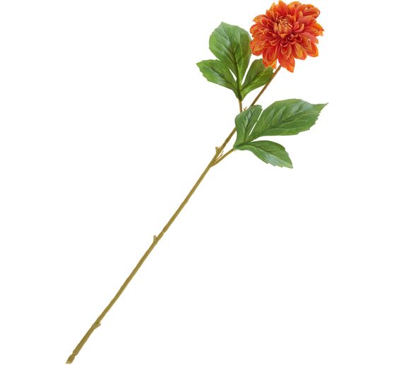 Dahlia "George Spray