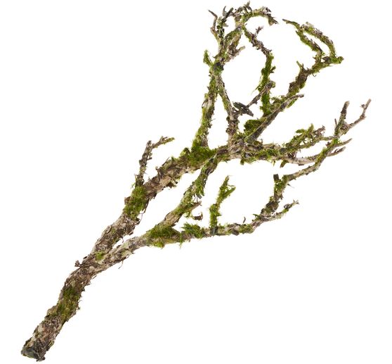 Decoratieve tak