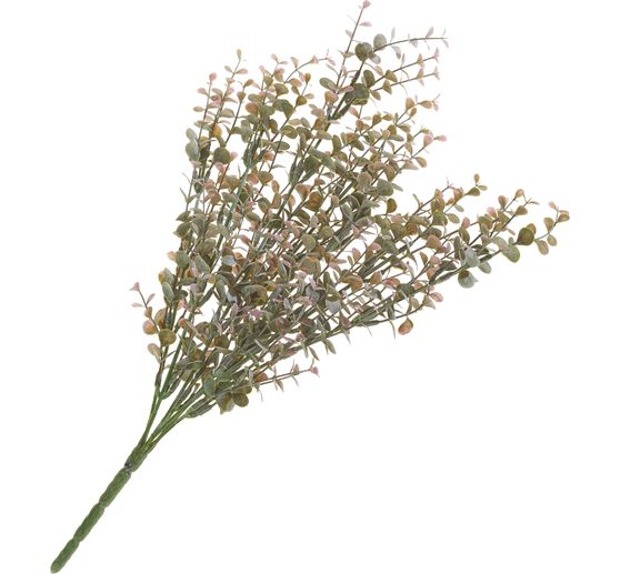 Eucalyptusstruik