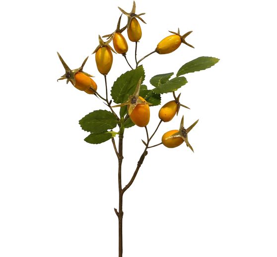Rozenbotteltak