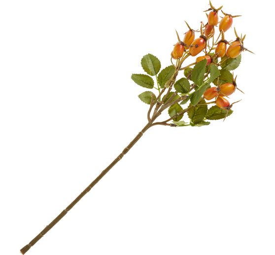 Rozenbotteltak