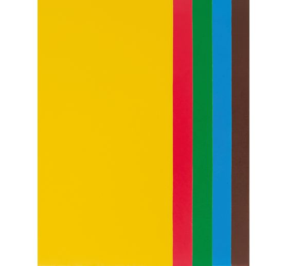 Wasplaten‑set, 20 &times; 10 cm, 5 stuks