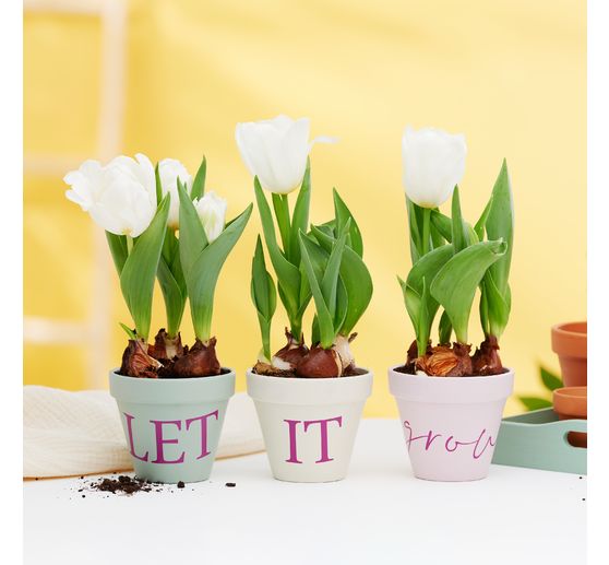 Cricut zelfklevende vinyl folie "Smart Vinyl - Removable", 33 x 90 cm