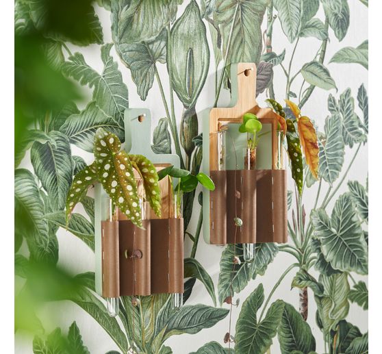 VBS Glass tubes for decoration, pack of 5