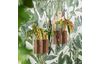 VBS Test tubes for decoration, pack of 5, 16 x 160 mm