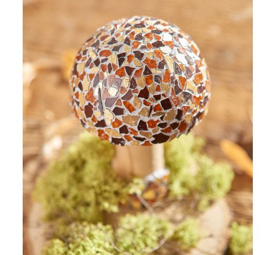 Wood mushroom